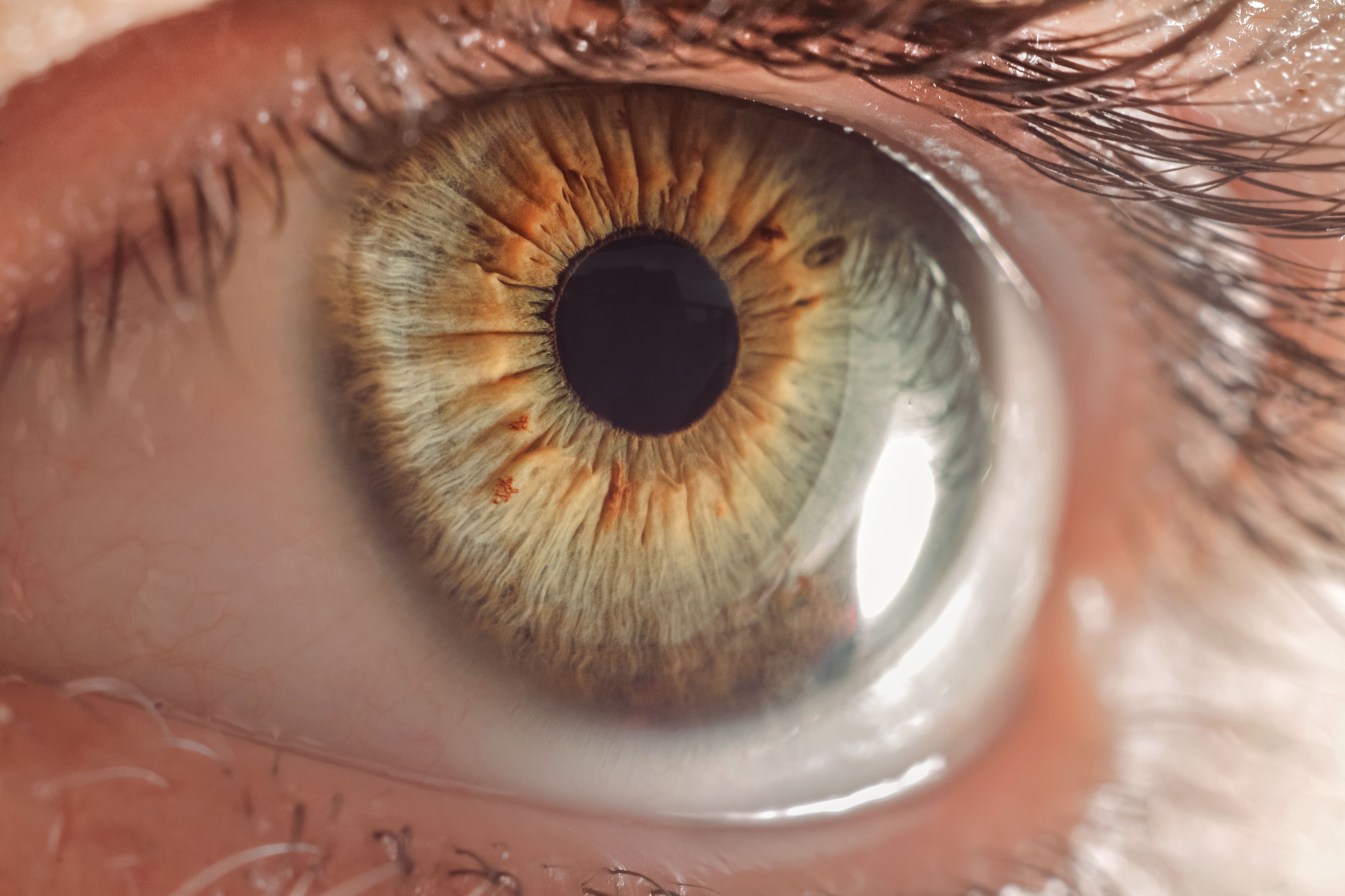 Misurazione della curvatura della cornea per la scelta della misura delle lenti a contatto.
